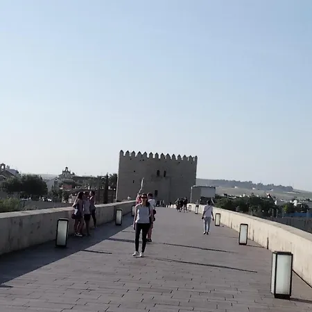 Lineros 24 Апартаменты