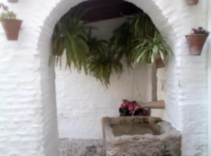 Апартаменты Lineros 24