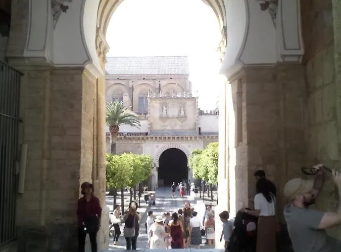 Апартаменты Lineros 24