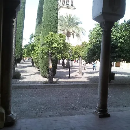 Lineros 24 * Κόρδοβα