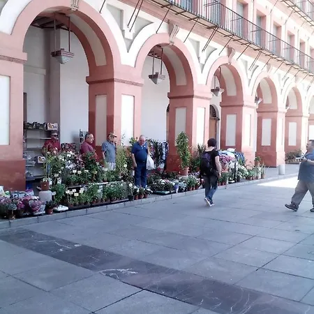 Appartement Lineros 24