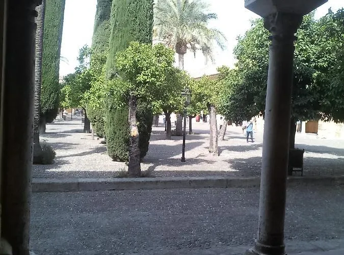 Lineros 24 * Cordoue