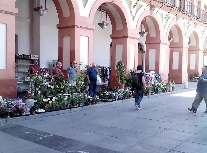 Appartement Lineros 24